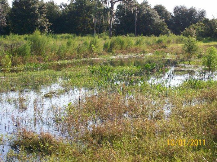 2011-Oct-01 HGR4X4 Cookout P1 006